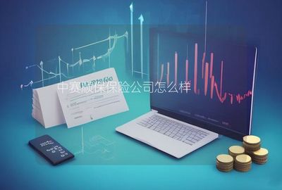 中賽順保保險(xiǎn)公司在計(jì)算機(jī)軟硬件的技術(shù)開發(fā)與銷售領(lǐng)域的發(fā)展與優(yōu)勢