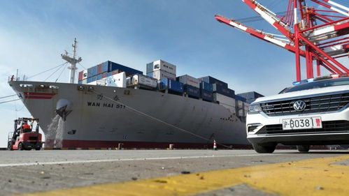 春節(jié)臨近，上海邊檢助力民生物資快速抵滬，保障國際船舶管理業(yè)務(wù)高效運(yùn)轉(zhuǎn)